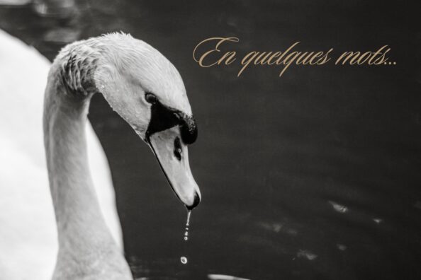 Expérience humaine