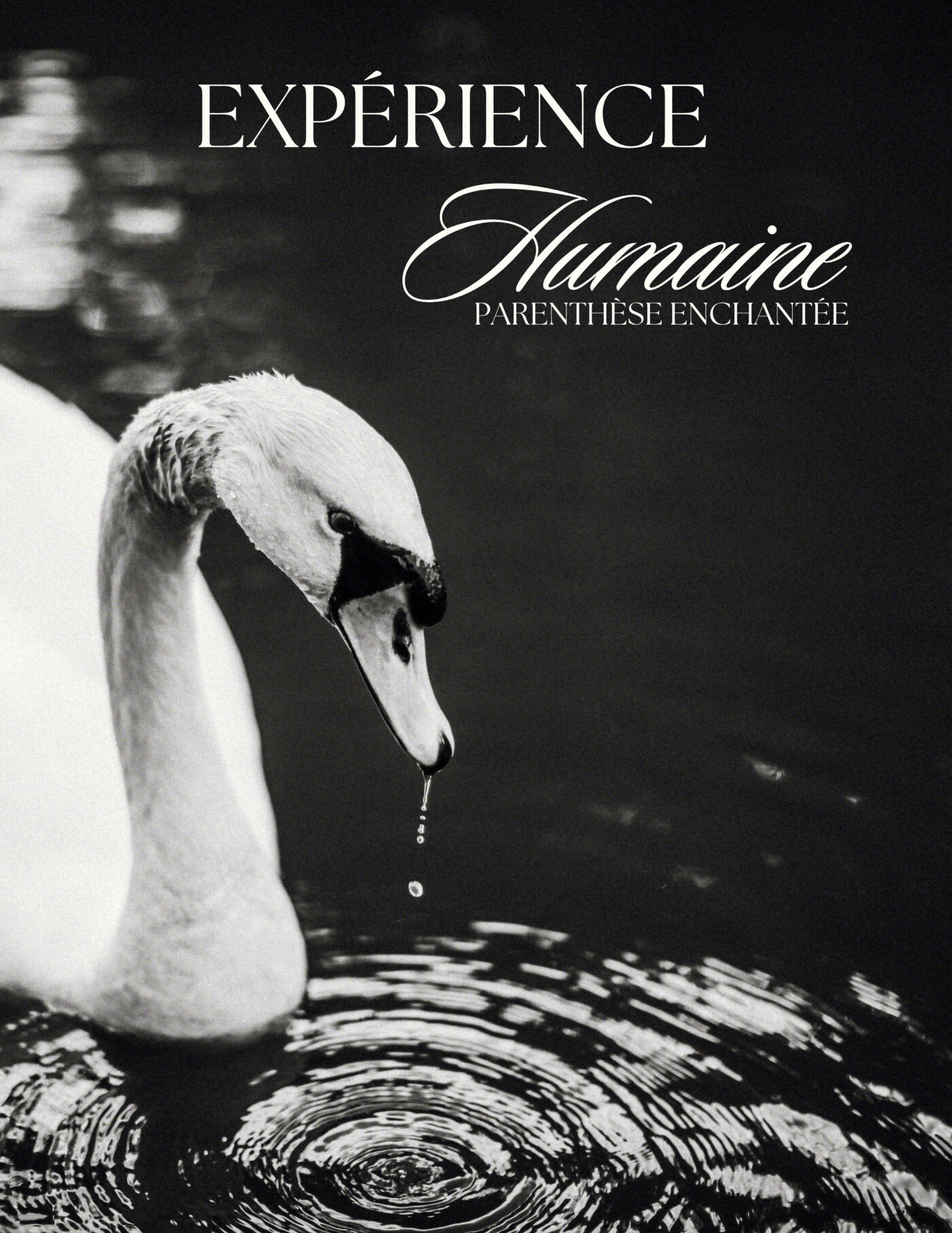 Eleonore Pignet - Photographe Yvelines